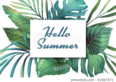 Tropical Summer Frame Tropical Summer Frame 62867871