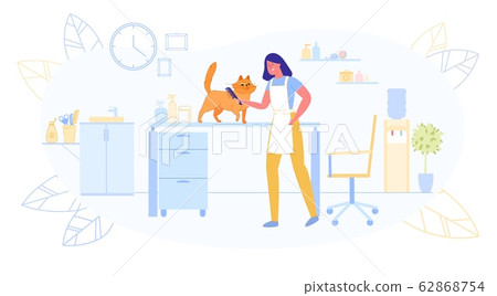 Flat Groomer Combing out Cat, Hairstyle Salon. 62868754