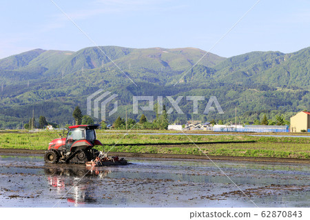 拖拉機在春天稻田抓 62870843