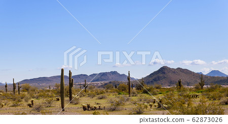 Landscape of the desert, cactus and mountains in Landscape of the desert, cactus and mountains in 62873026