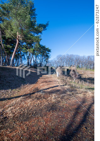 Sa玉縣吉見町八丁湖天然植物觀測課程 62873247