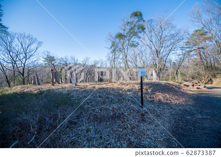 Sa玉縣吉見町八丁湖天然植物觀測課程 62873387