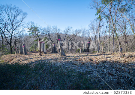 Sa玉縣吉見町八丁湖天然植物觀測課程 62873388