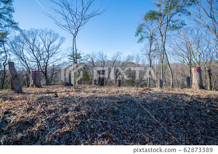 Sa玉縣吉見町八丁湖天然植物觀測課程 62873389