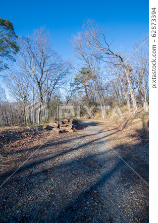 Sa玉縣吉見町八丁湖天然植物觀測課程 62873394