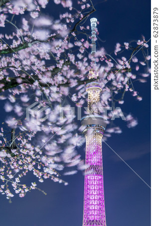 Urban landscape Night view Sakura at night and Tokyo Sky Tree Urban landscape Night view Sakura at night and Tokyo Sky Tree 62873879