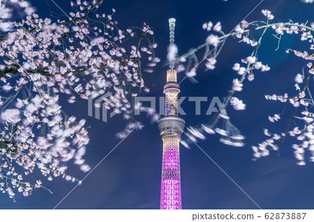 Urban landscape Night view Sakura at night and Tokyo Sky Tree Urban landscape Night view Sakura at night and Tokyo Sky Tree 62873887