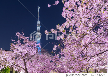Urban landscape Night view Yamayabori Park 62874223