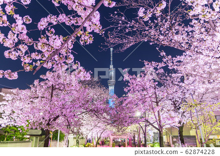 Urban landscape Night view Yamayabori Park 62874228