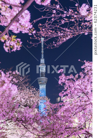 Urban landscape Night view Yamayabori Park 62874231