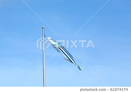 ami美大島skip魚 ami美大島skip魚 62874374