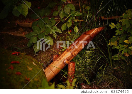 深刻的情感 深刻的情感 62874435