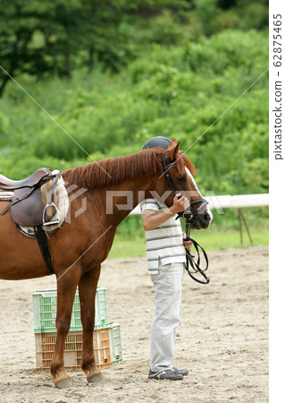 鳥取四個季節步行夏季小馬牧場 鳥取四個季節步行夏季小馬牧場 62875465