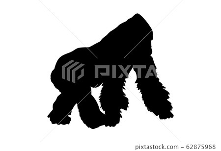Animal silhouette zoo gorilla 4 Animal silhouette zoo gorilla 4 62875968