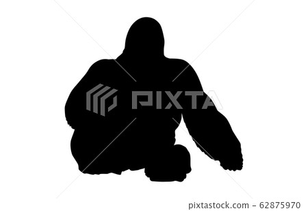 Animal silhouette zoo gorilla 6 Animal silhouette zoo gorilla 6 62875970