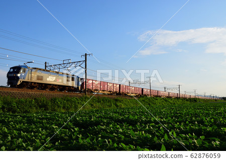 Freight train illuminated by the setting sun 62876059