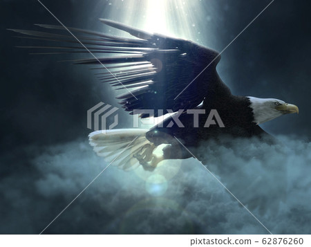 Bald eagle flying over the clouds 3d illustration Bald eagle flying over the clouds 3d illustration 62876260