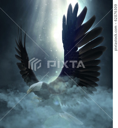 Bald eagle flying over the clouds 3d illustration 62876309