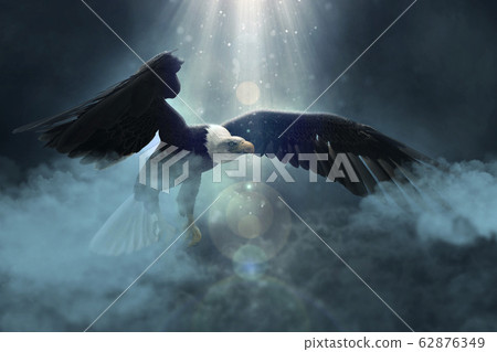 Bald eagle flying over the clouds 3d illustration Bald eagle flying over the clouds 3d illustration 62876349