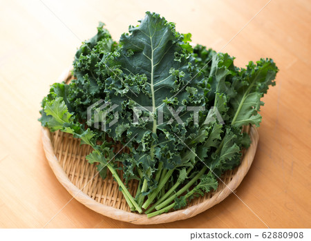 Kale 62880908