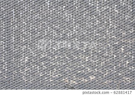 Rabitz covered in the snow. Background, texture Rabitz covered in the snow. Background, texture 62881417