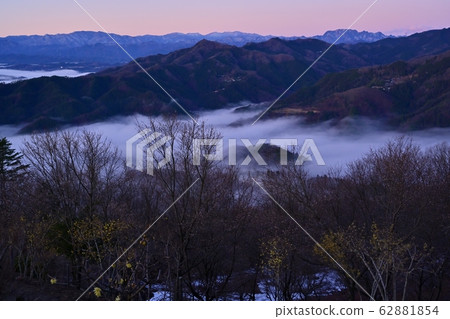 Hotozan Rowby花園的冬季海上櫻花 62881854