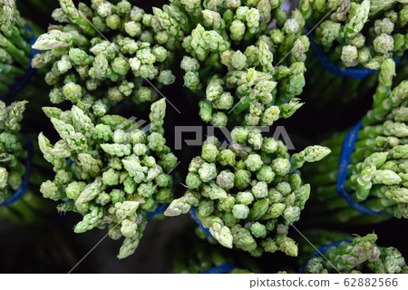 Asparagus in Bundles 62882566