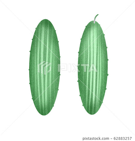 Hand drawn color cucumber illustration. Organic 62883257