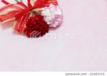 Mother's Day Carnation and Ribbon 62883319