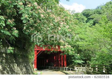 紅色隧道 紅色隧道 62883516