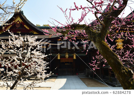 Kitano Tenman-gu的李子 62884278