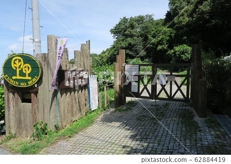 縣立森林中庭花園 縣立森林中庭花園 62884419