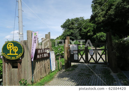 Prefectural Forest Nukata Garden Prefectural Forest Nukata Garden 62884420
