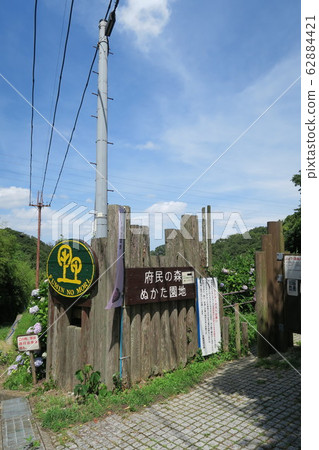 縣立森林中庭花園 縣立森林中庭花園 62884421