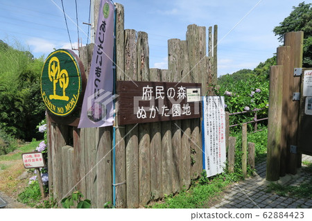 縣立森林中庭花園 縣立森林中庭花園 62884423