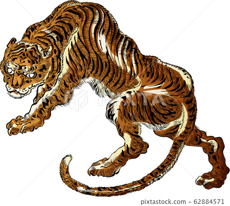 Tiger Part 4 62884571