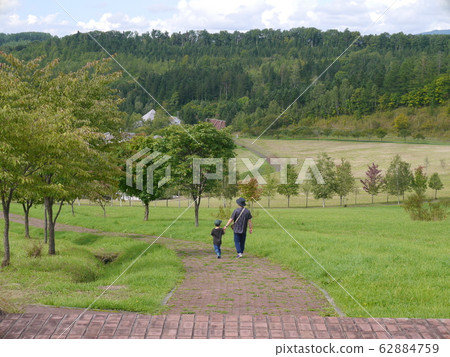 父母和孩子在大自然包圍的公園裡漫步（後視圖） 62884759