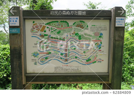Prefectural Forest Nukata Garden-Hydrangea Garden- Prefectural Forest Nukata Garden-Hydrangea Garden- 62884809