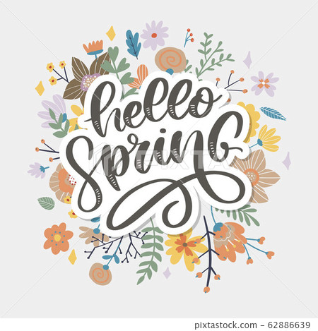 Hello Spring - Hand drawn inspiration quote. 62886639