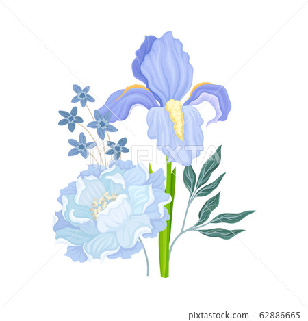 Floral Composition with Iris Flower on Green Erect Stem Vector Illustration 62886665