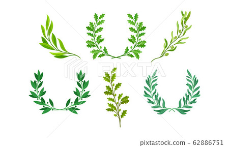 Wreaths or Chaplets of Leaves and Branches with... - Stock Illustration ...