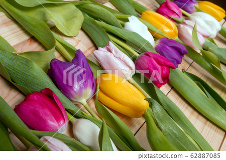 Tulips flowers background Tulips flowers background 62887085