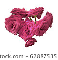 Heart-shaped roses on an isolated background 62887535
