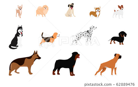 Dogs collection. Vector illustration  62889476