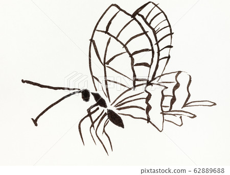 butterfly hand-drawn in sumi-e style butterfly hand-drawn in sumi-e style 62889688