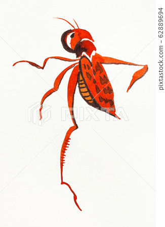 red locust hand-drawn in sumi-e style red locust hand-drawn in sumi-e style 62889694