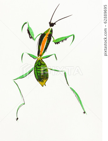 green mantis hand-drawn in sumi-e style green mantis hand-drawn in sumi-e style 62889695
