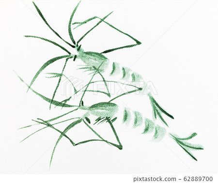 pair of green prawns drawn in sumi-e style pair of green prawns drawn in sumi-e style 62889700