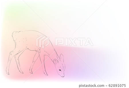 Realistic animal illustration: iridescent background: fawn 62891075