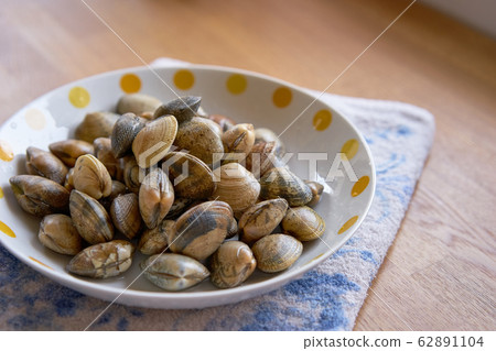 Clams. Fresh ingredients. Clams. Fresh ingredients. 62891104